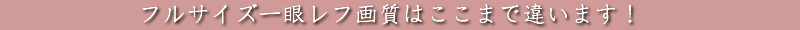 一眼ウェディングビデオ撮影
